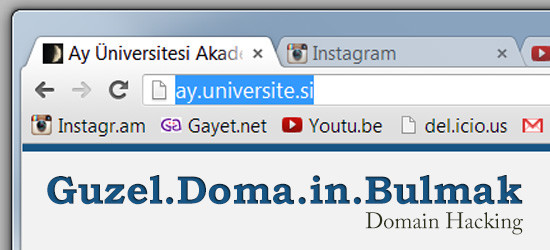 Domain Bulmak