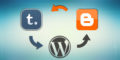 Tumblr Blogspot Wordpress
